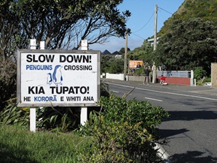 Penguin crossing sign