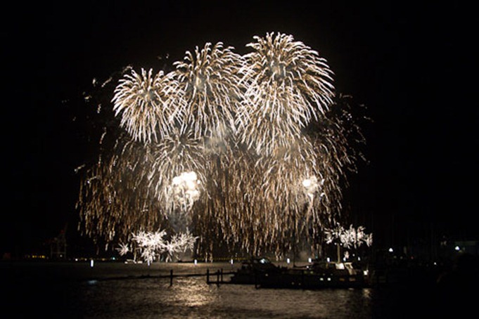 Wellington fireworks, November 5th, 2010