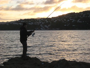 Surfcasting at Shelly Bay