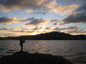 Surfcasting at Shelly Bay
