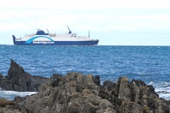 Bluebridge Ferry to South Island